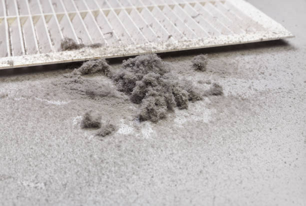 Best Air Duct Cleaning Cost  in Danville, AR